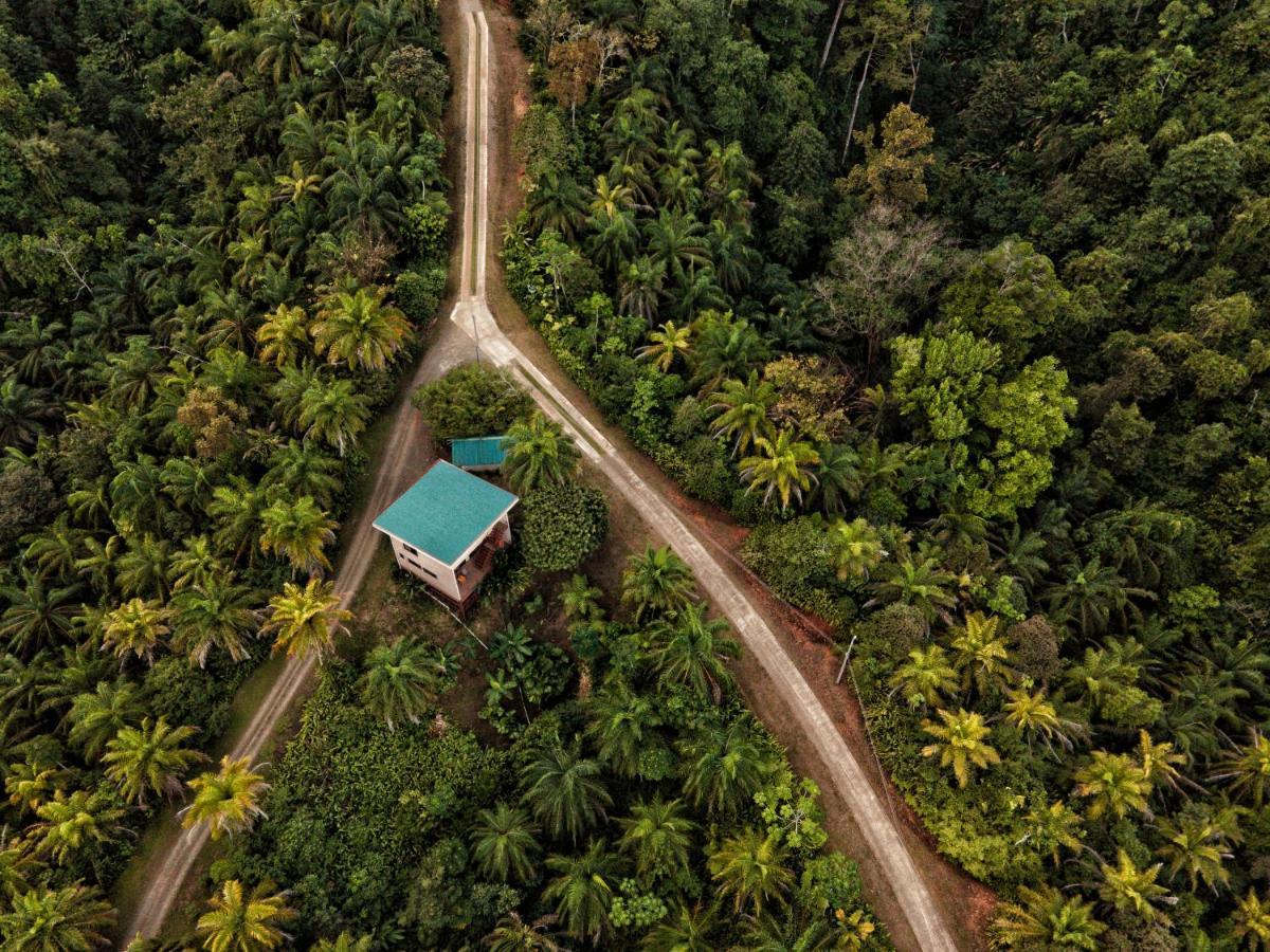Corcovado Private Villas - Corcovado Private Reserve Puerto Jiménez Extérieur photo