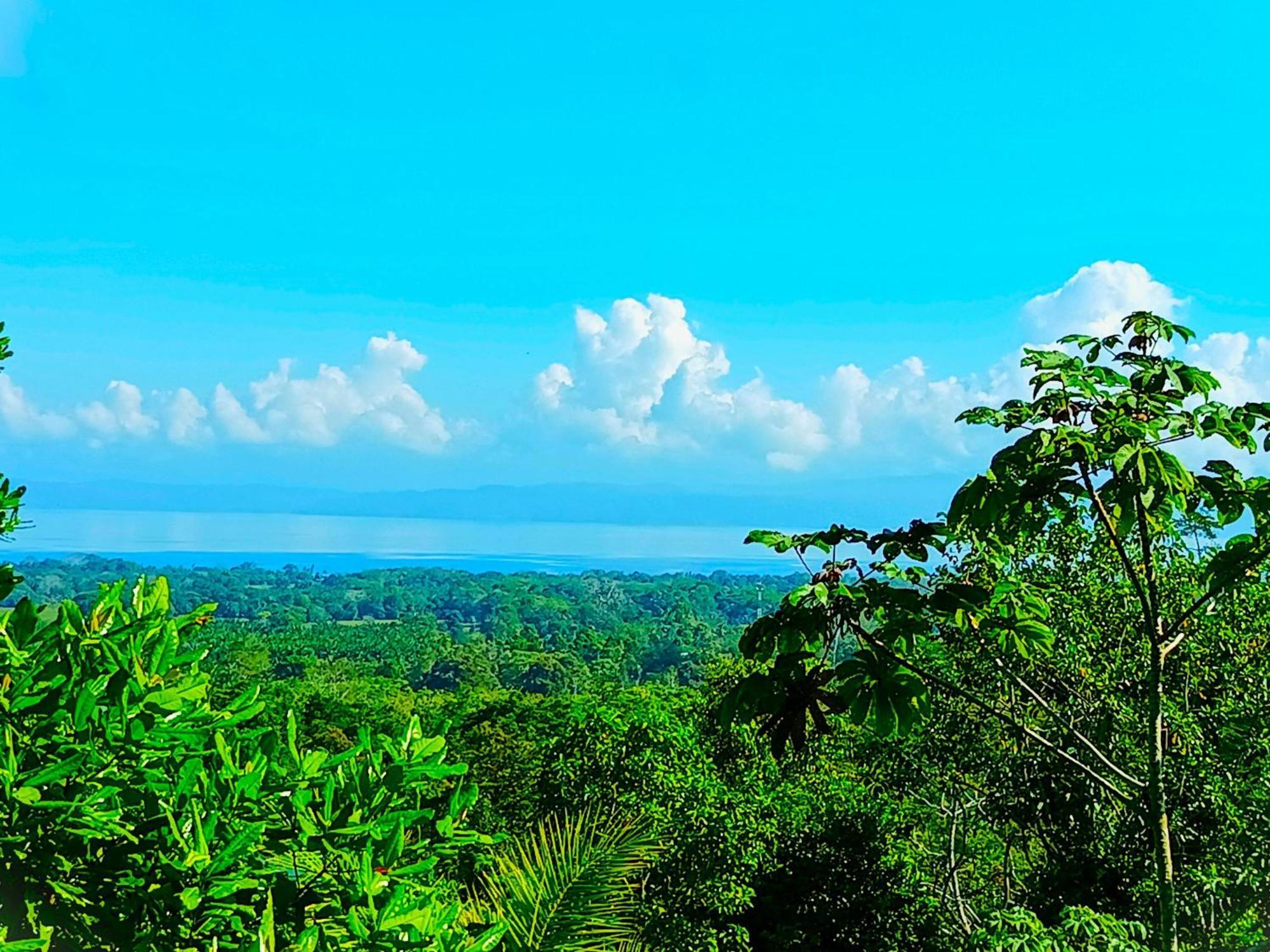 Corcovado Private Villas - Corcovado Private Reserve Puerto Jiménez Extérieur photo